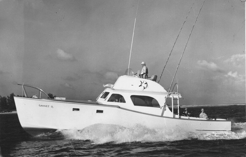 Click to See Next Image